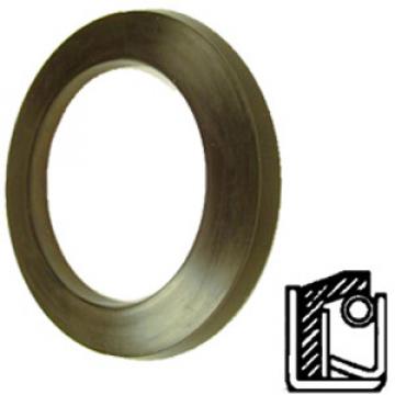 CHICAGO RAWHIDE 22005 Oil Seals