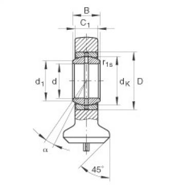 FAG Hydraulic rod ends - GK30-DO