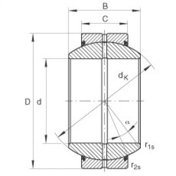 FAG Radial spherical plain Bearings - GE100-FO-2RS