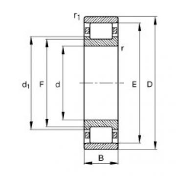 FAG Cylindrical roller Bearings - N204-E-XL-TVP2