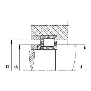 FAG Cylindrical roller Bearings - NJ207-E-XL-TVP2 + HJ207-E