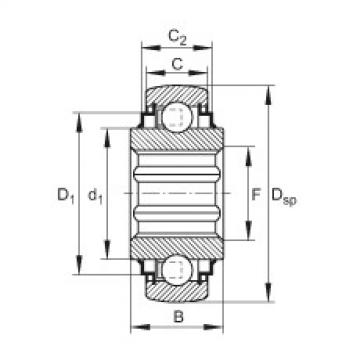 FAG Self-aligning deep groove ball Bearings - SK108-209-KRR-B-L402/70-AH11