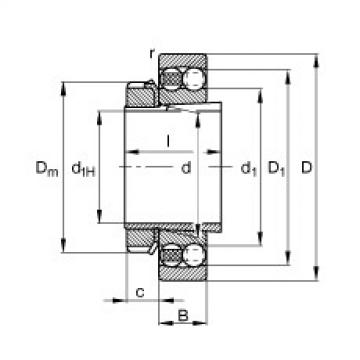 FAG Self-aligning ball Bearings - 1208-K-TVH-C3 + H208