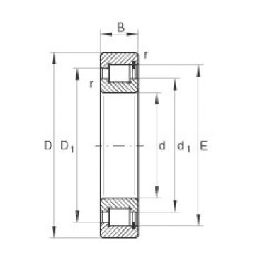 FAG Cylindrical roller Bearings - SL1818/560-E-TB