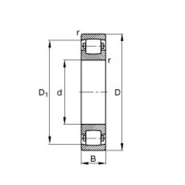 FAG Barrel roller Bearings - 20205-TVP