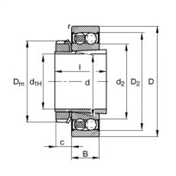 FAG Self-aligning ball Bearings - 2205-K-2RS-TVH-C3 + H305