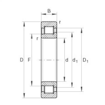 FAG Cylindrical roller Bearings - SL192326-TB-XL-BR