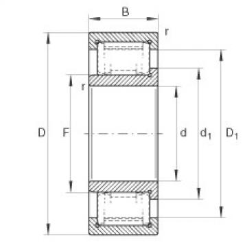 FAG Cylindrical roller Bearings - ZSL192310