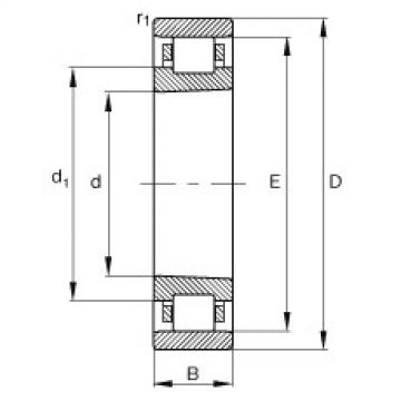 FAG Cylindrical roller Bearings - N1009-K-M1-SP