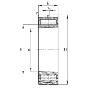 FAG Cylindrical roller Bearings - F-573050.ZL-K-C3