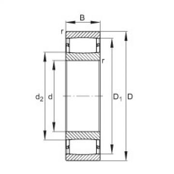 FAG Toroidal roller Bearings - C2220-XL