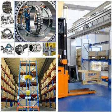  203KG    top 5 Latest High Precision Bearings