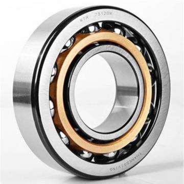 5200CZZ, Double Row Angular Contact Ball Bearing - Double Shielded