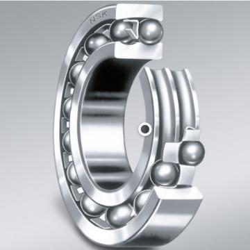  08JS10-SS Ball  Bearings 2018 top 10