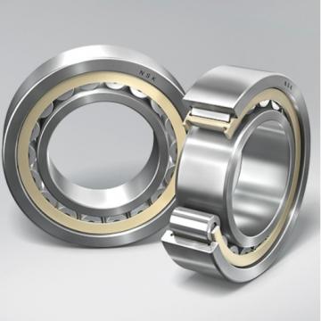 Single Row Cylindrical Roller Bearing NUP19/600