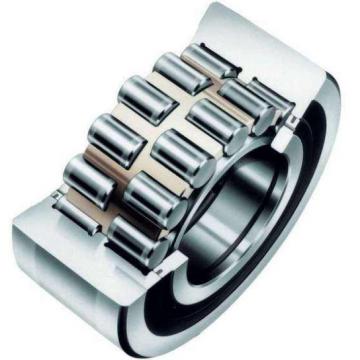 Double-row Cylindrical Rroller Bearings NSKNN4996K