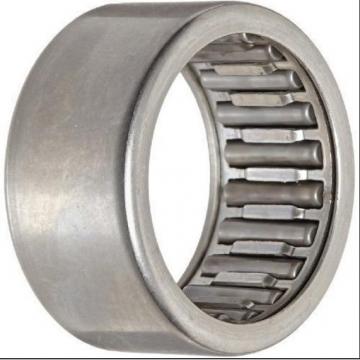INA BK1812 Needle Non Thrust Roller Bearings