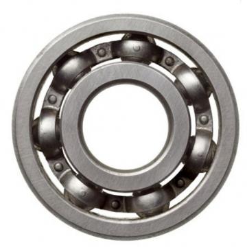 16013, Single Row Radial Ball Bearing - Open Type