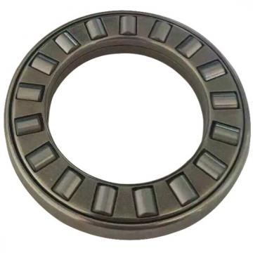 INA SL014864 Cylindrical Roller Bearings