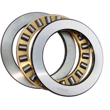  F-809489-TR1-H167A Roller Bearings