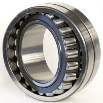 FAG BEARING 528428 Roller Bearings