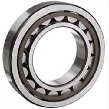 Single Row Cylindrical Roller Bearing NJ2334M