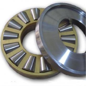 INA SL185009 Cylindrical Roller Bearings