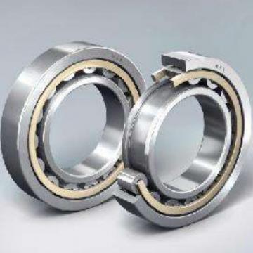 Double Row Cylindrical Bearings NN3038