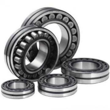 Double-row Cylindrical Rroller Bearings NSKNNU3056