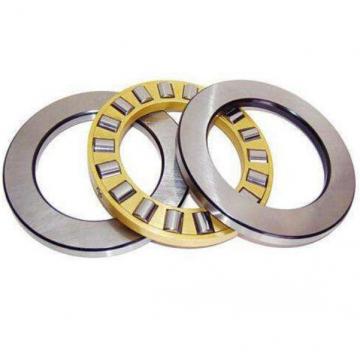 NSK NU2204W Cylindrical Roller Bearings