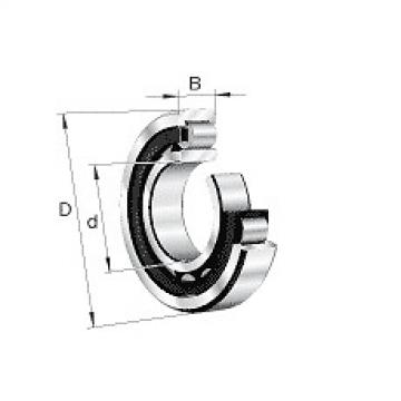 NU2222E.M1.C3 FAG Cylindrical Roller Bearing Single Row