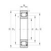 FAG Cylindrical roller Bearings - SL181840 #1 small image