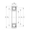 FAG Cylindrical roller Bearings - SL182215 #1 small image