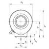 FAG Hydraulic rod ends - GK30-DO