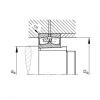 FAG Spherical roller Bearings - 22356-BEA-XL-K-MB1 + AH2356G