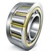 Single Row Cylindrical Roller Bearing NU2996