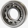 Single Row Cylindrical Roller Bearing NU2326EM