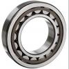 Single Row Cylindrical Roller Bearing NU2326EM