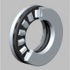 INA SL045007-PP-C3 Cylindrical Roller Bearings