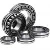 Double-row Cylindrical Rroller Bearings NSKNNU3134 #2 small image