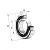 NU310-E-M1-C3 FAG Cylindrical roller bearing #1 small image