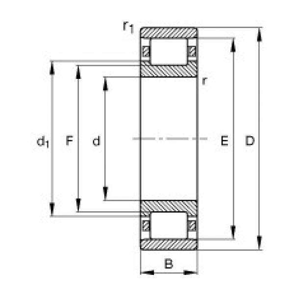 FAG Cylindrical roller Bearings - N202-E-XL-TVP2 #1 image