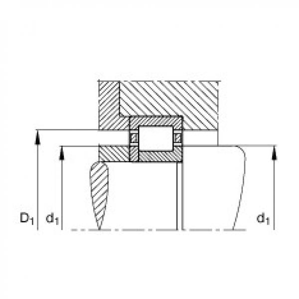 FAG Cylindrical roller Bearings - NUP205-E-XL-TVP2 #3 image