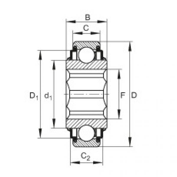 FAG Self-aligning deep groove ball Bearings - SK100-206-KRR-AH11 #1 image