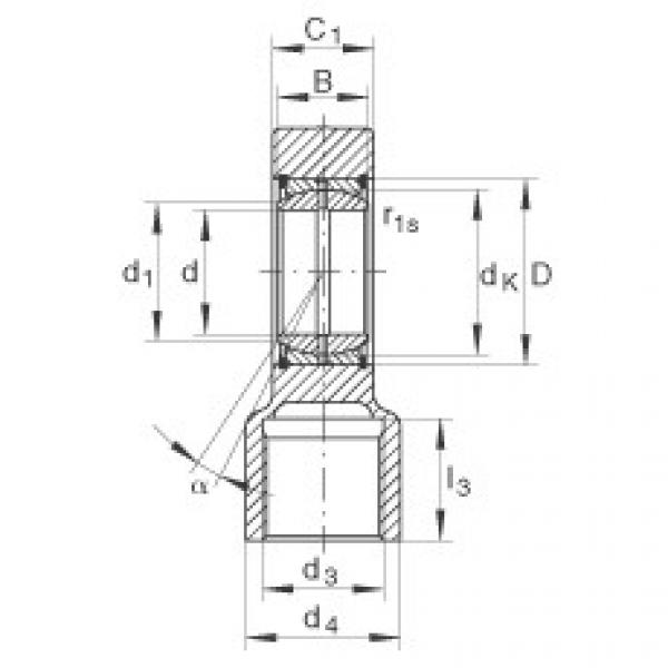 FAG Hydraulic rod ends - GIHRK110-DO #1 image