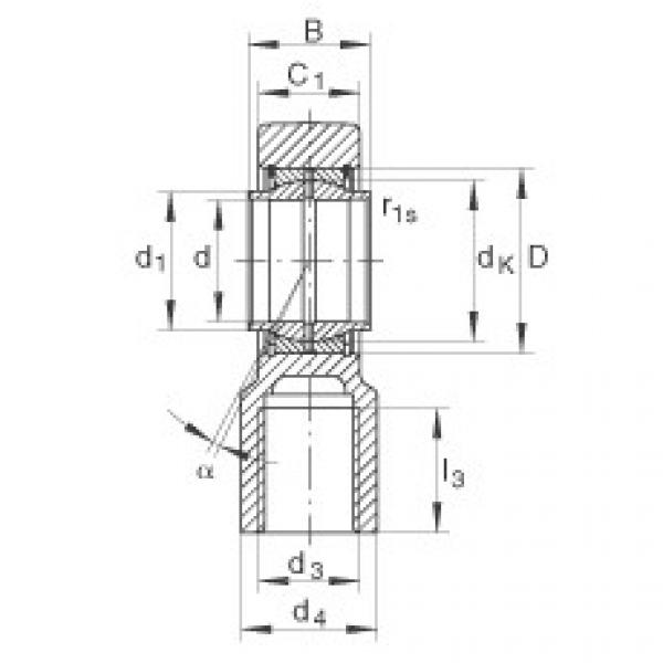 FAG Hydraulic rod ends - GIHNRK100-LO #1 image