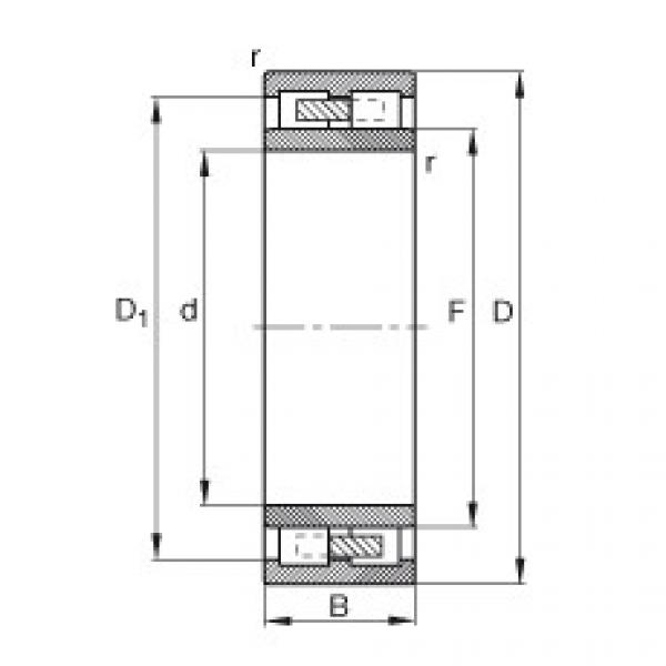 FAG Cylindrical roller Bearings - NNU41/500-M #1 image