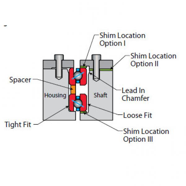 Thin Section Bearings Kaydon39318001 #1 image