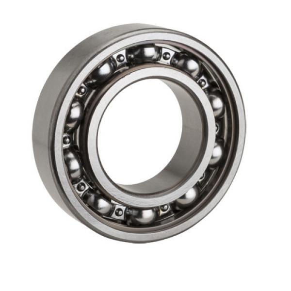 558540D FAG Cylindrical Roller Bearing Single Row #1 image