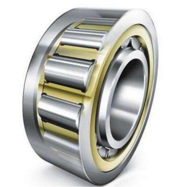 Single Row Cylindrical Roller Bearing N336M #3 image